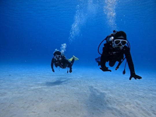 FUNダイビング - 慶良間諸島渡嘉敷島ダイビングサービス RetreatDive FUNダイビング - 慶良間諸島渡嘉敷島ダイビングサービス RetreatDive