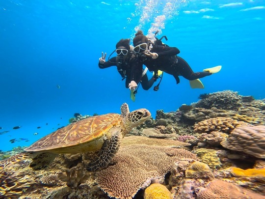 カップルツアー - 慶良間諸島渡嘉敷島ダイビングサービス RetreatDive
