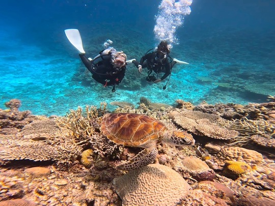 FUNダイビング - 慶良間諸島渡嘉敷島ダイビングサービス RetreatDive