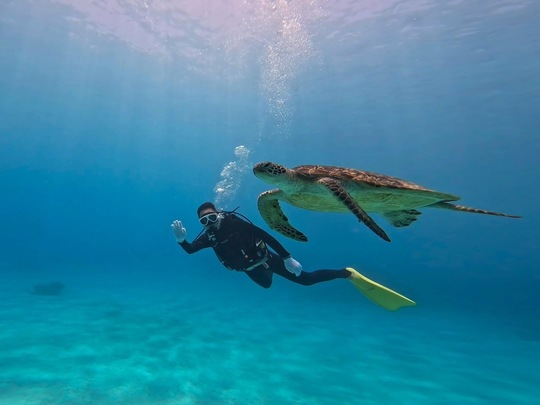 FUNダイビング - 慶良間諸島渡嘉敷島ダイビングサービス RetreatDive FUNダイビング - 慶良間諸島渡嘉敷島ダイビングサービス RetreatDive