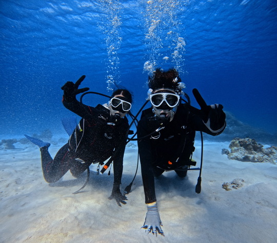 5つの貸し切りプラン - 慶良間諸島渡嘉敷島ダイビングサービス RetreatDive