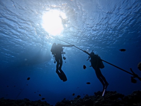 FUNダイビング - 慶良間諸島渡嘉敷島ダイビングサービス RetreatDive