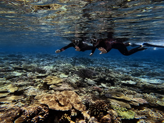 カップルツアー - 慶良間諸島渡嘉敷島ダイビングサービス RetreatDive